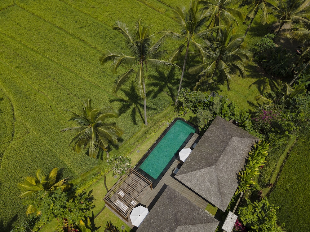 2 Bedroom Pool Villa with Rice Field View and Daily Scheduled Activities - Photo 8