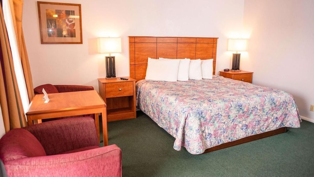 Comfort Single Room, 1 King Bed, Non Smoking photo 2