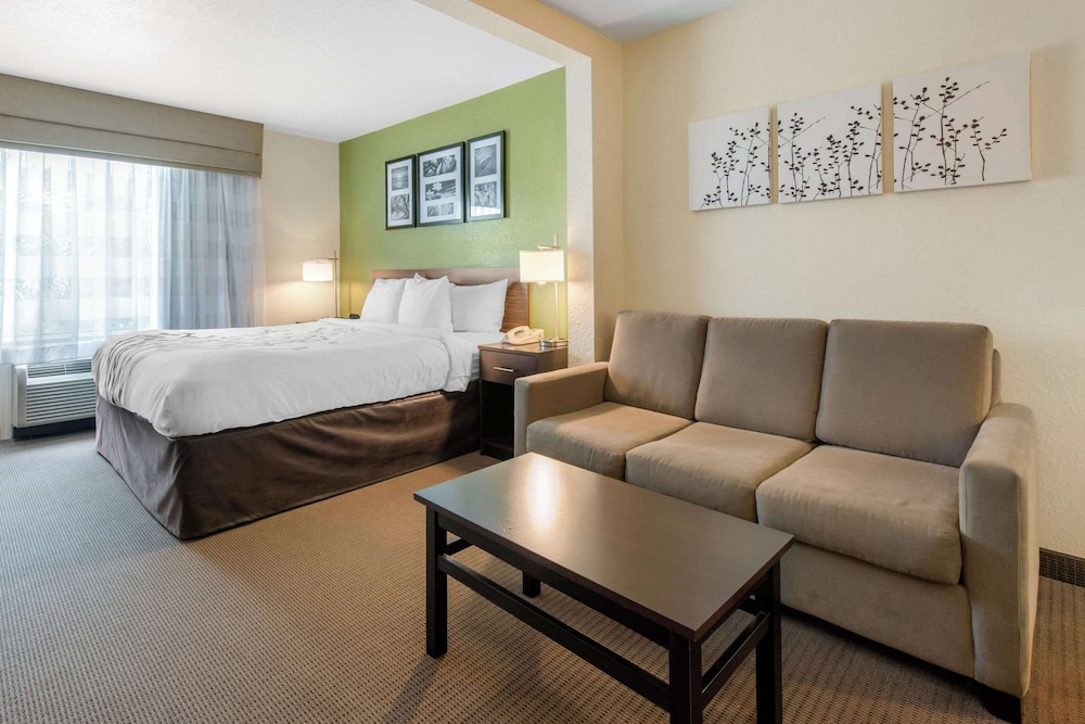 Suite, 1 King Bed, Non Smoking - Photo 1