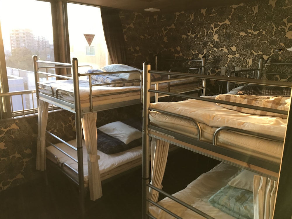 Shared Dormitory, Mixed Dorm photo 1
