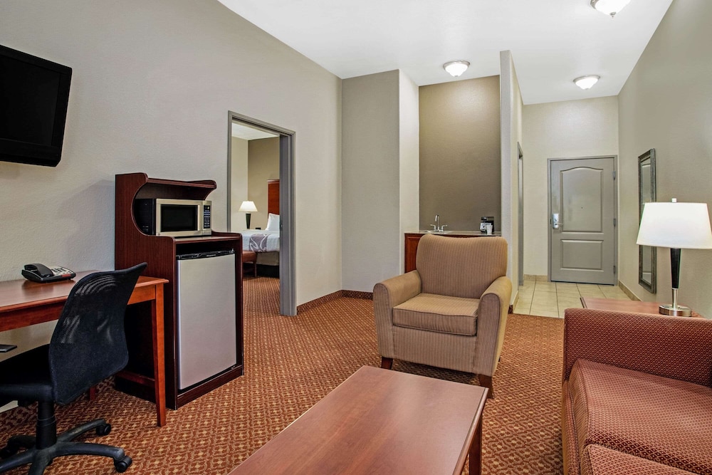Deluxe Suite, 1 King Bed, Non Smoking - Photo 1