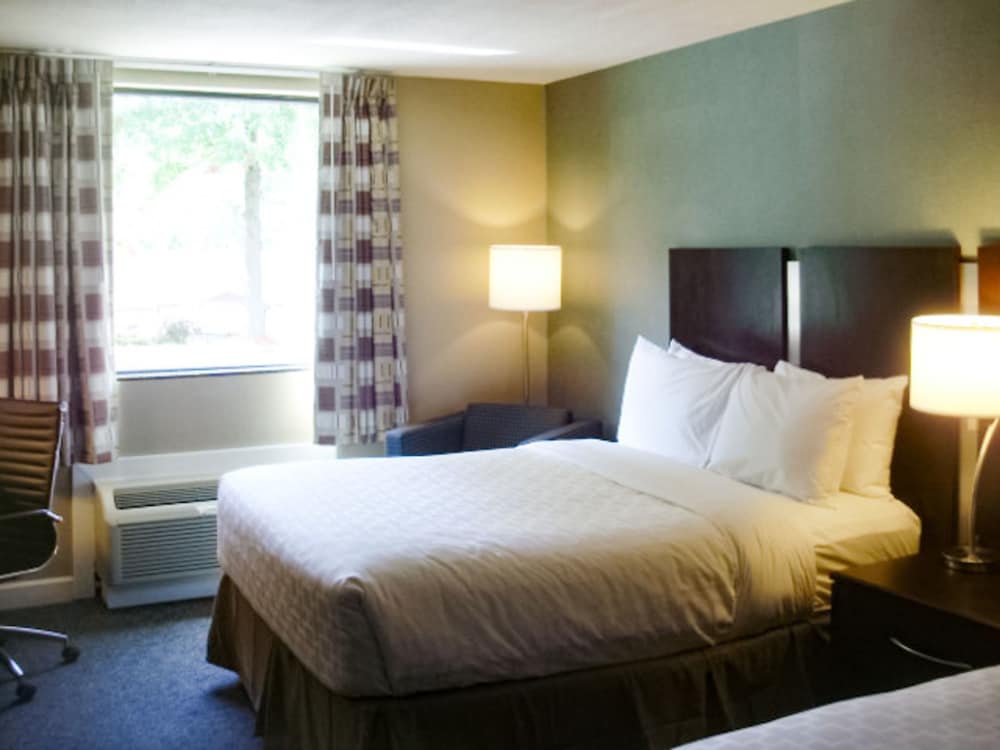 Standard Room, 1 King Bed, Non Smoking - Photo 6