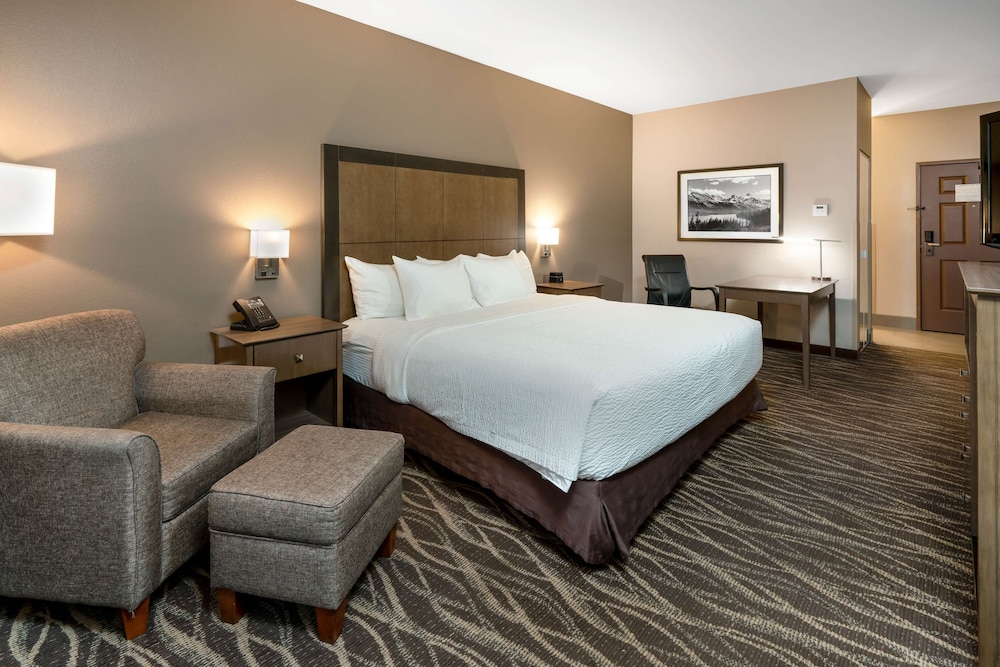 Standard Room, 1 King Bed, Refrigerator & Microwave
