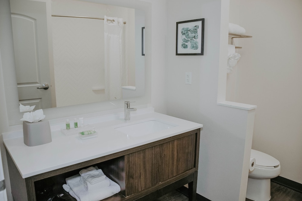 Premium Room, 1 King Bed (TDM Stadium View) - Photo 5
