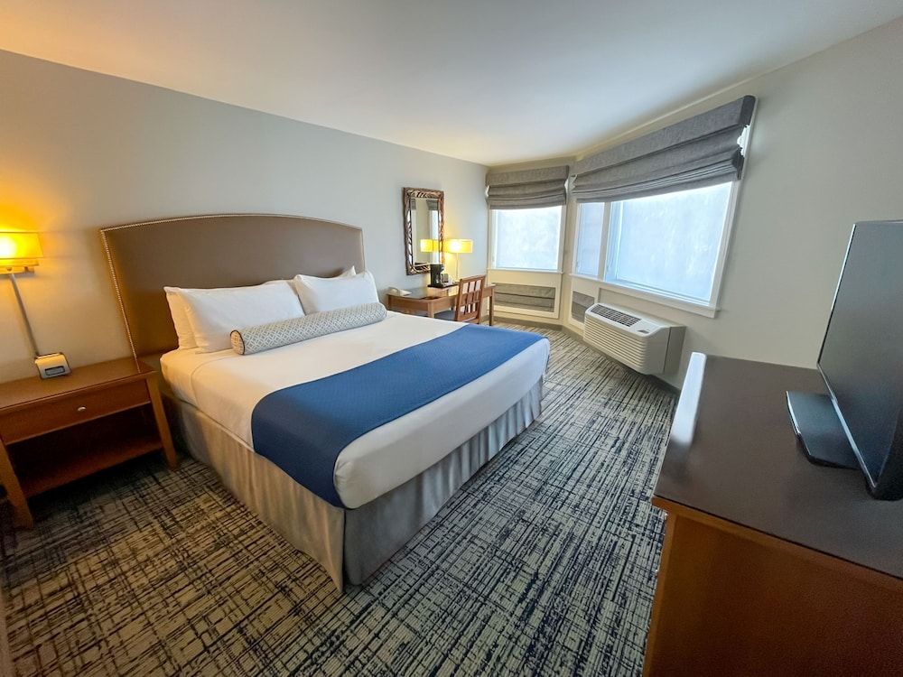 Room, 1 King Bed (with Parlour)
