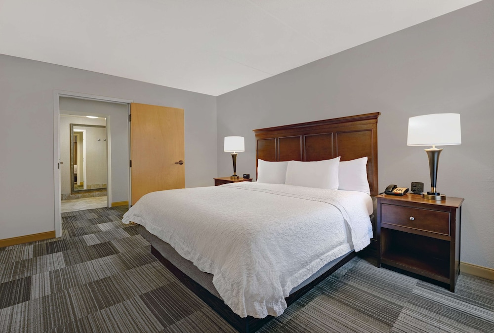 Room, 1 King Bed, Non Smoking photo 1