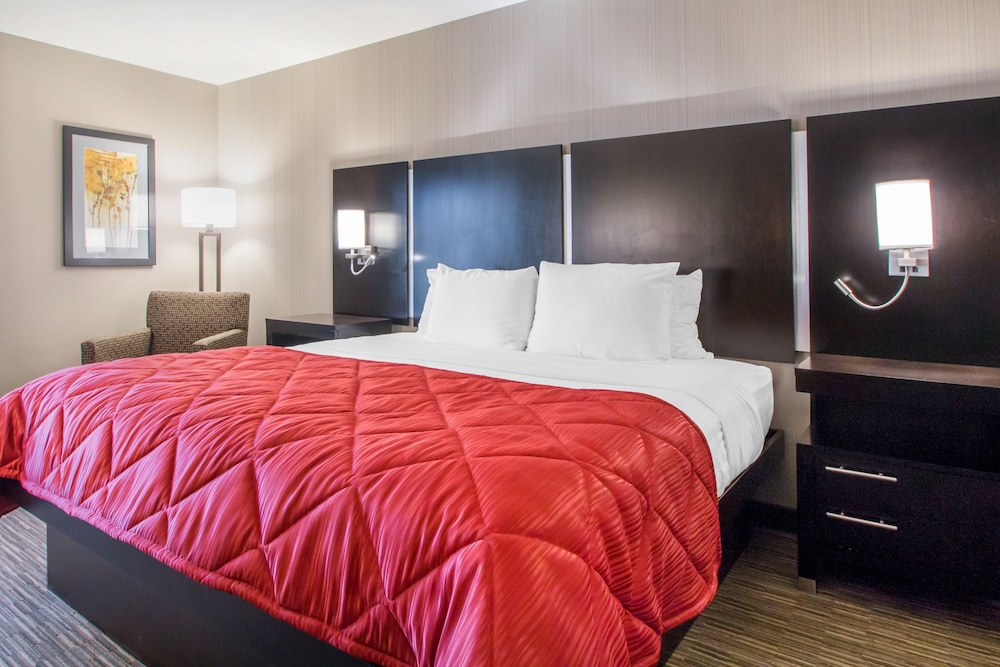Signature Room, 1 King Bed, Kitchen photo 1