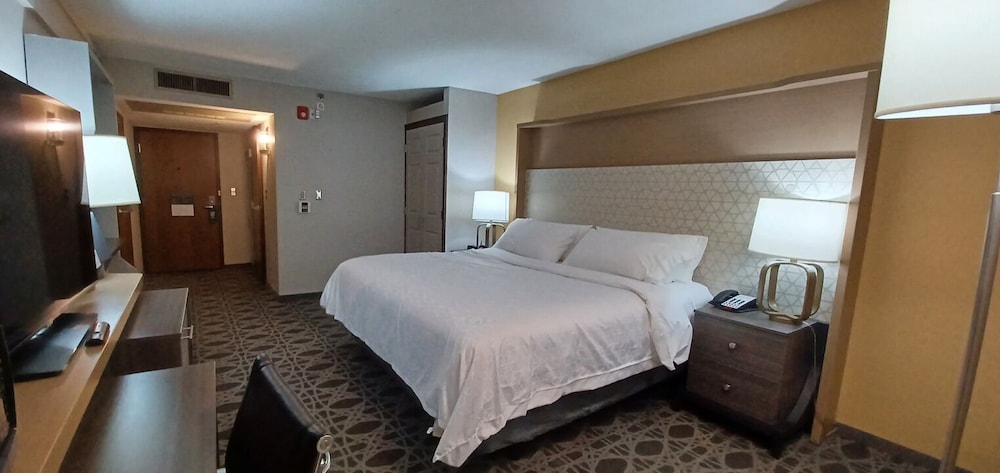 Standard Room, 1 King Bed, Accessible Bathtub (Communications) - Photo 1
