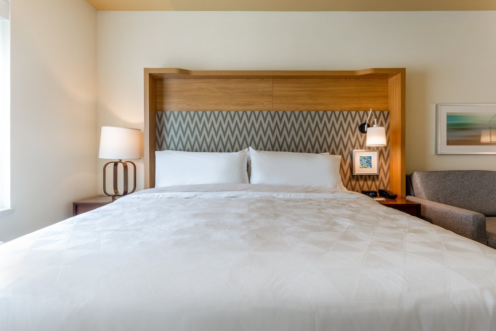 Premium Room, 1 King Bed, Accessible Bathtub (Mobility) - Photo 1