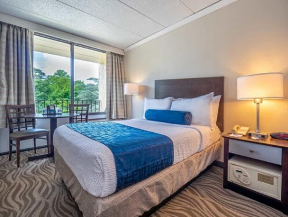 Standard Room, 1 King Bed, Lake View (Standard King Room) photo 1