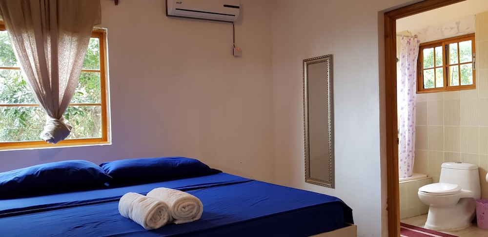 Design Double Room, 1 King Bed, Accessible photo 2