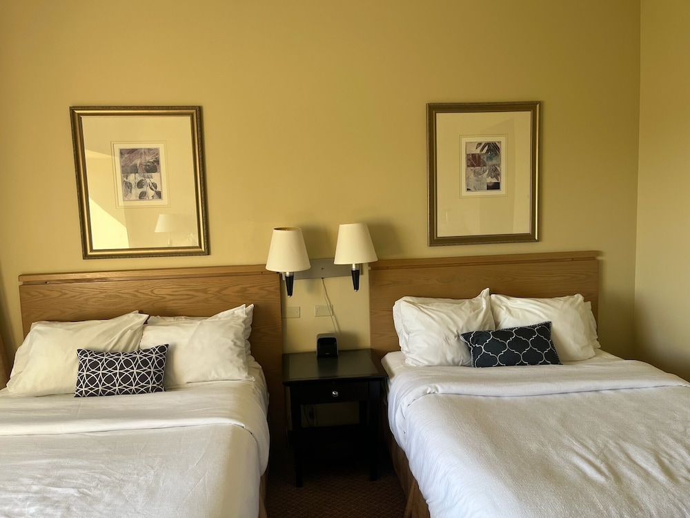 Studio Suite, City View photo 1