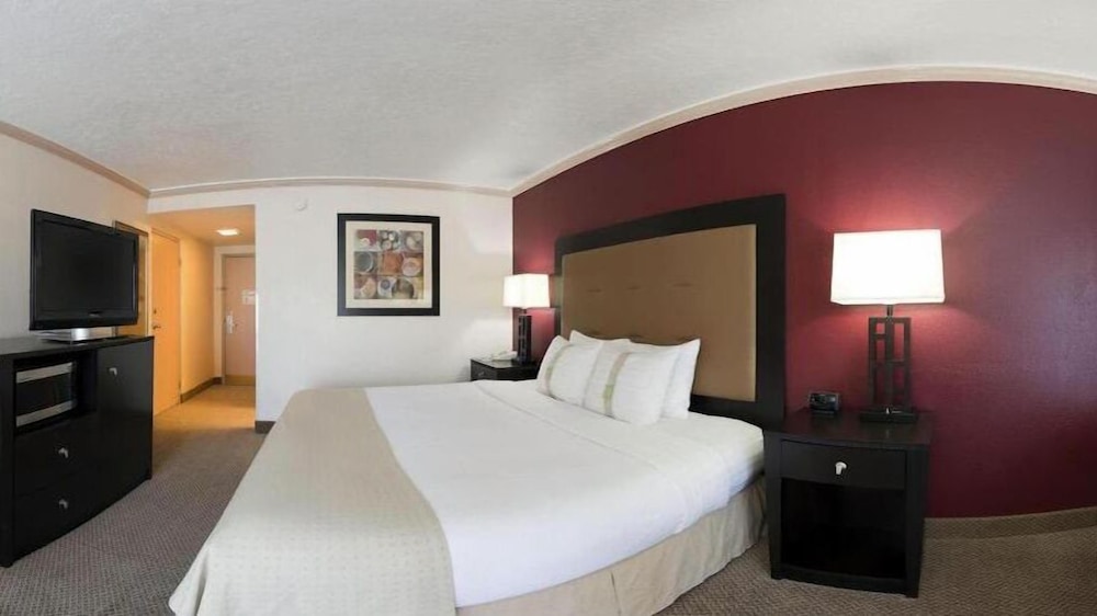 Premium Room, 1 King Bed, Accessible (Communications) - Photo 2