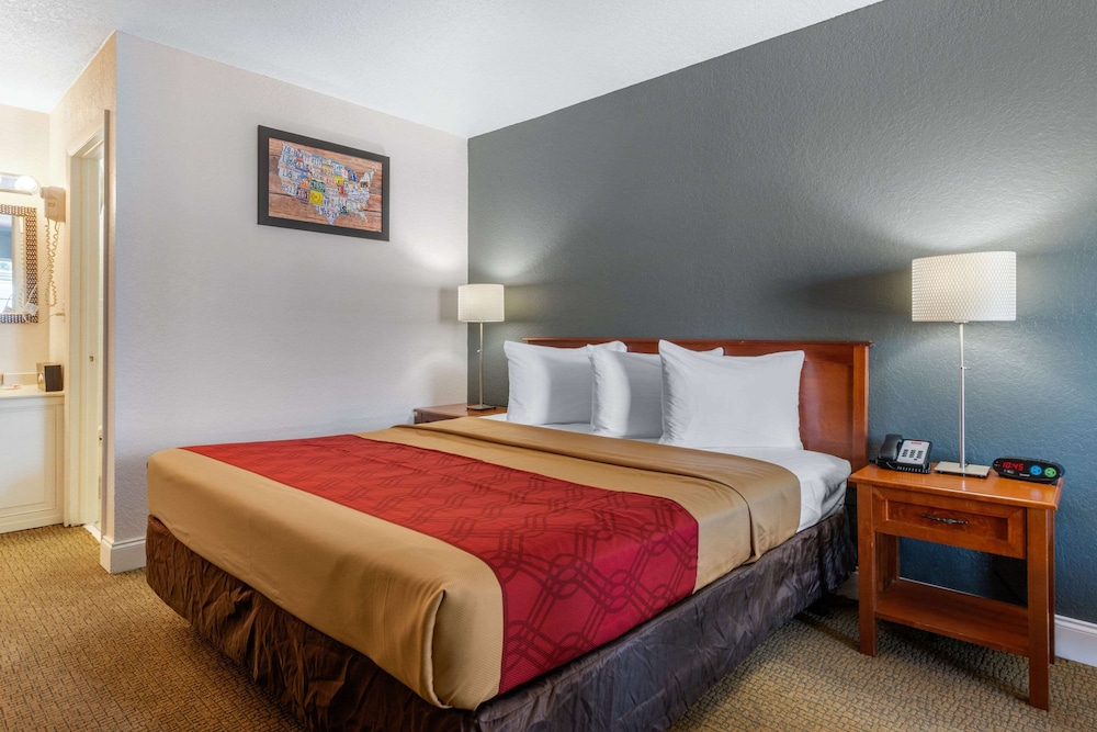 1 King Bed, No Smoking