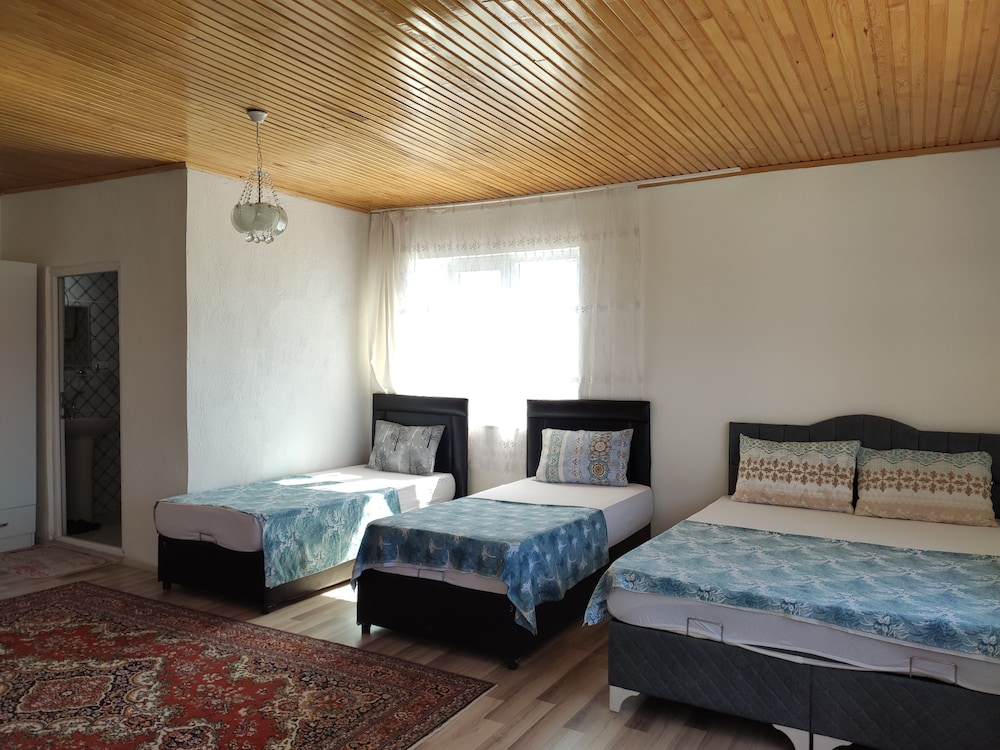 Basic Quadruple Room photo 2