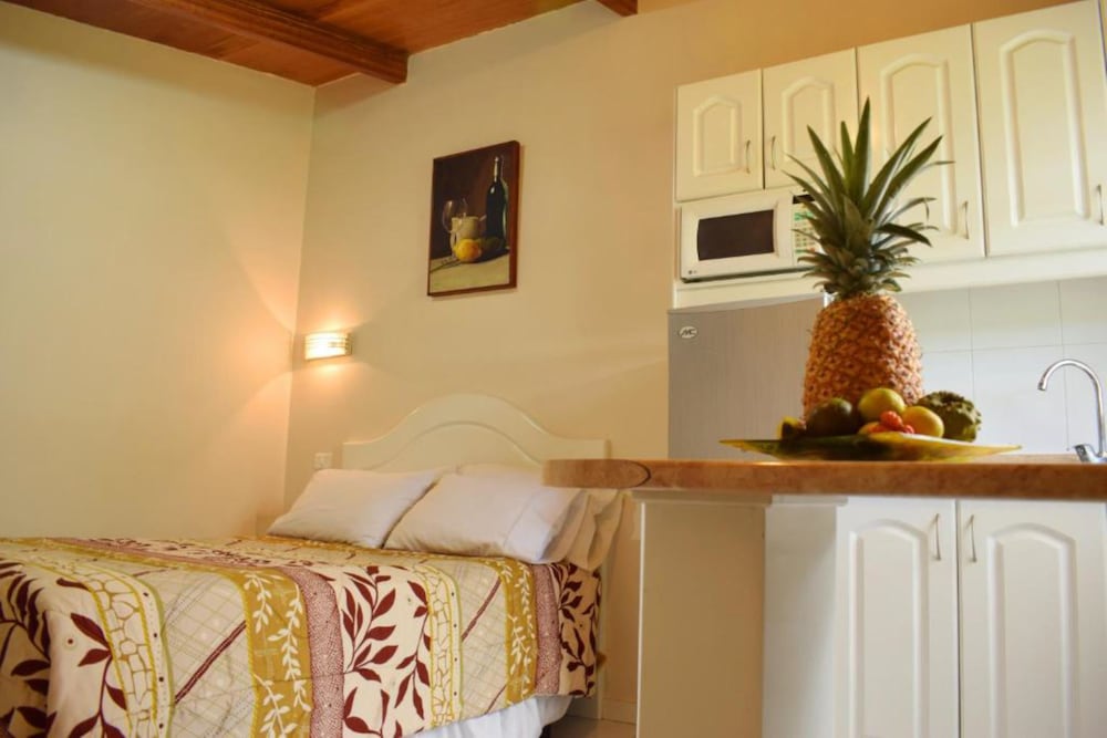 Basic Suite, 1 Double Bed, Non Smoking photo 3