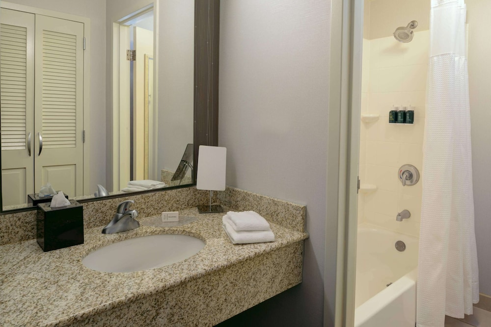 Suite, 1 King Bed with Sofa bed, Accessible (Mobility/Hearing Tub One Bedroom) - Photo 5