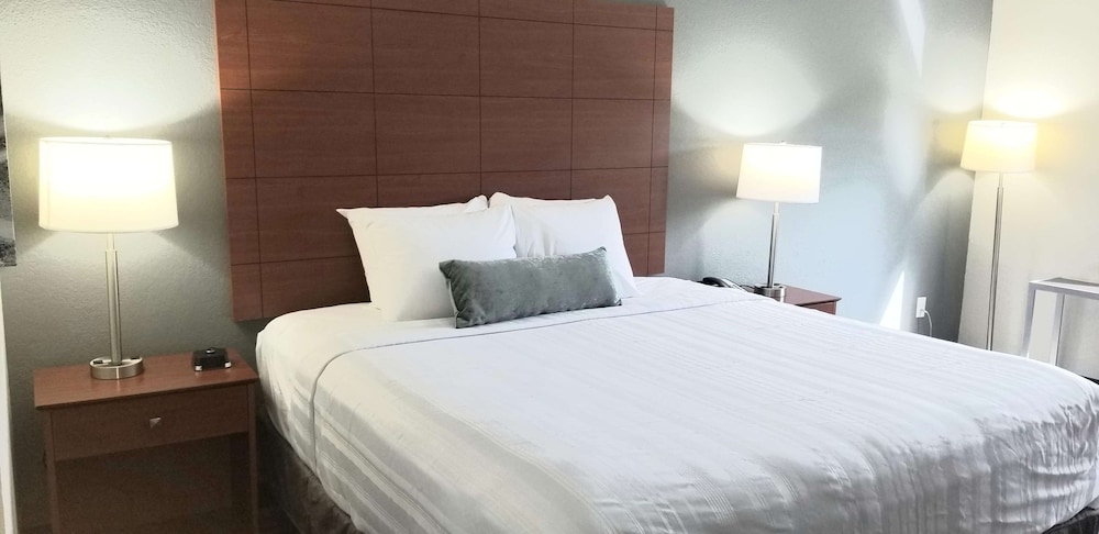 Standard Room, 1 King Bed, Non Smoking, Refrigerator & Microwave - Photo 1