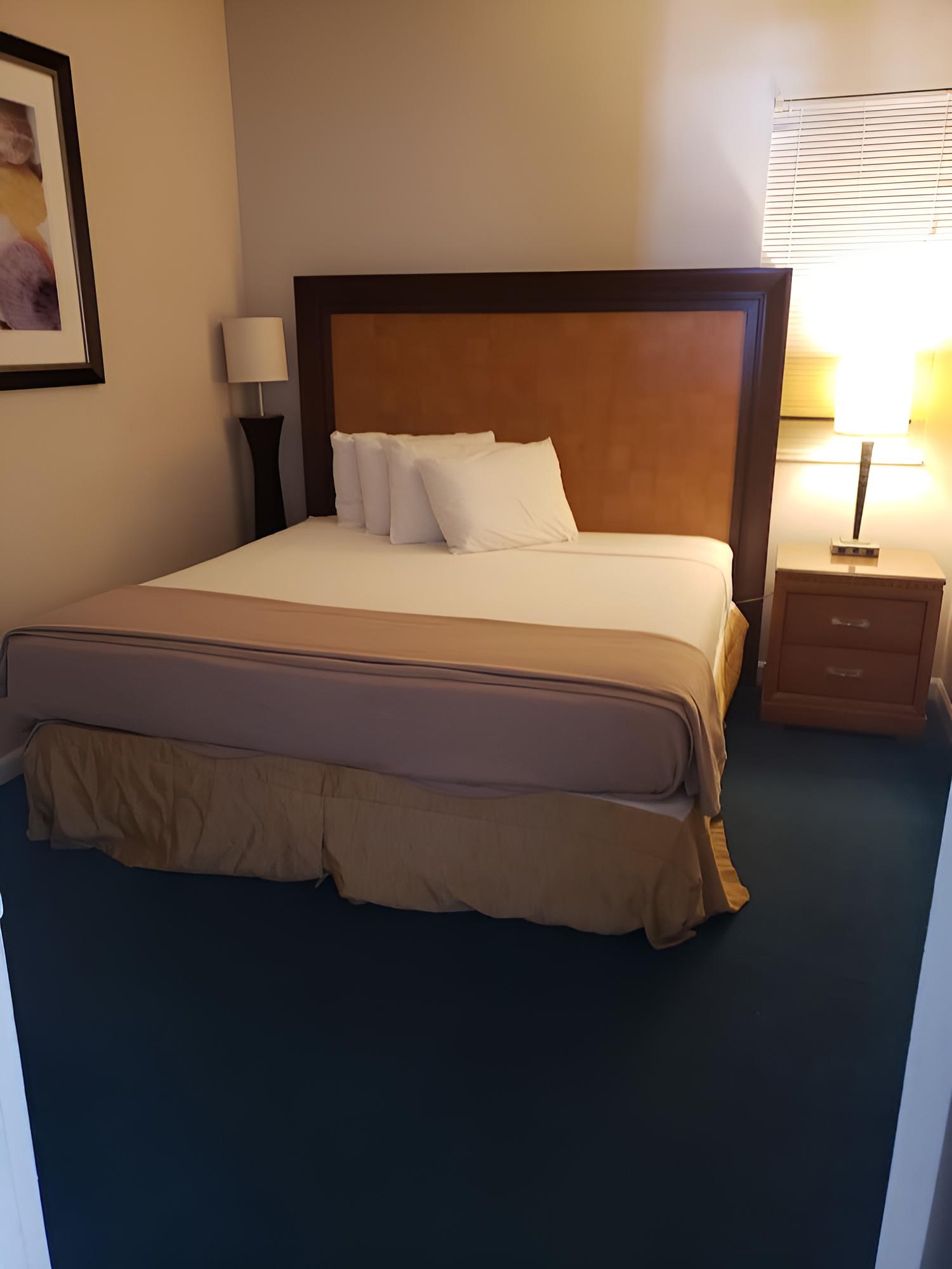 Signature Suite, Kitchen, Oceanfront photo 2
