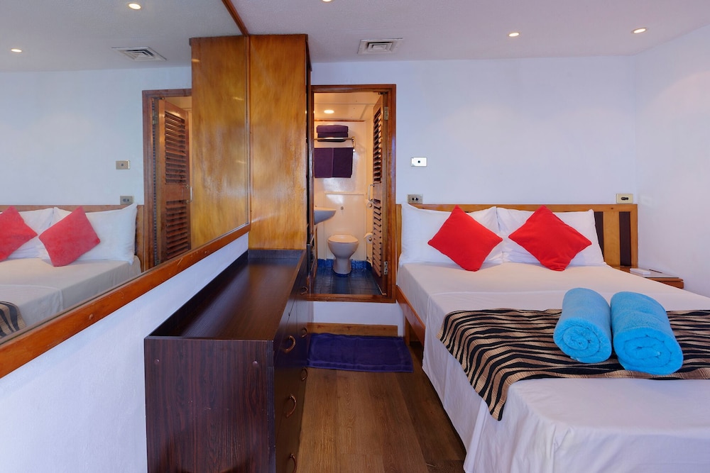 Bridge Deck Cabin photo 3