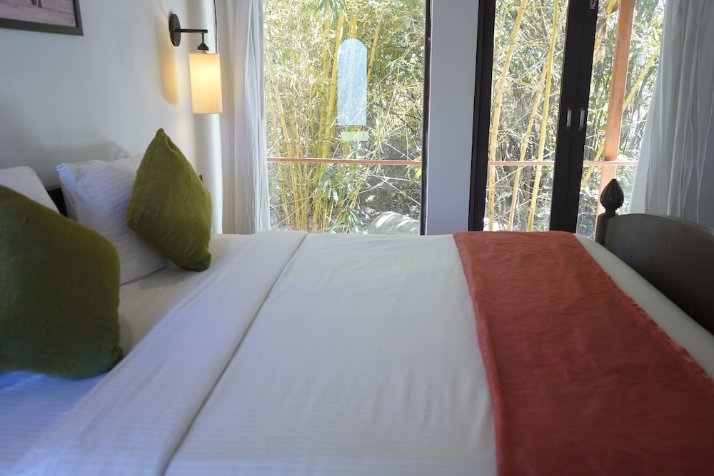 Deluxe Room photo 3