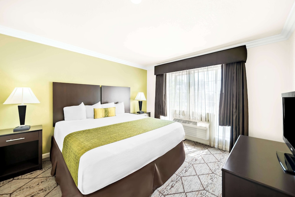 Suite, 1 King Bed, Non Smoking (with Sofabed) photo 3