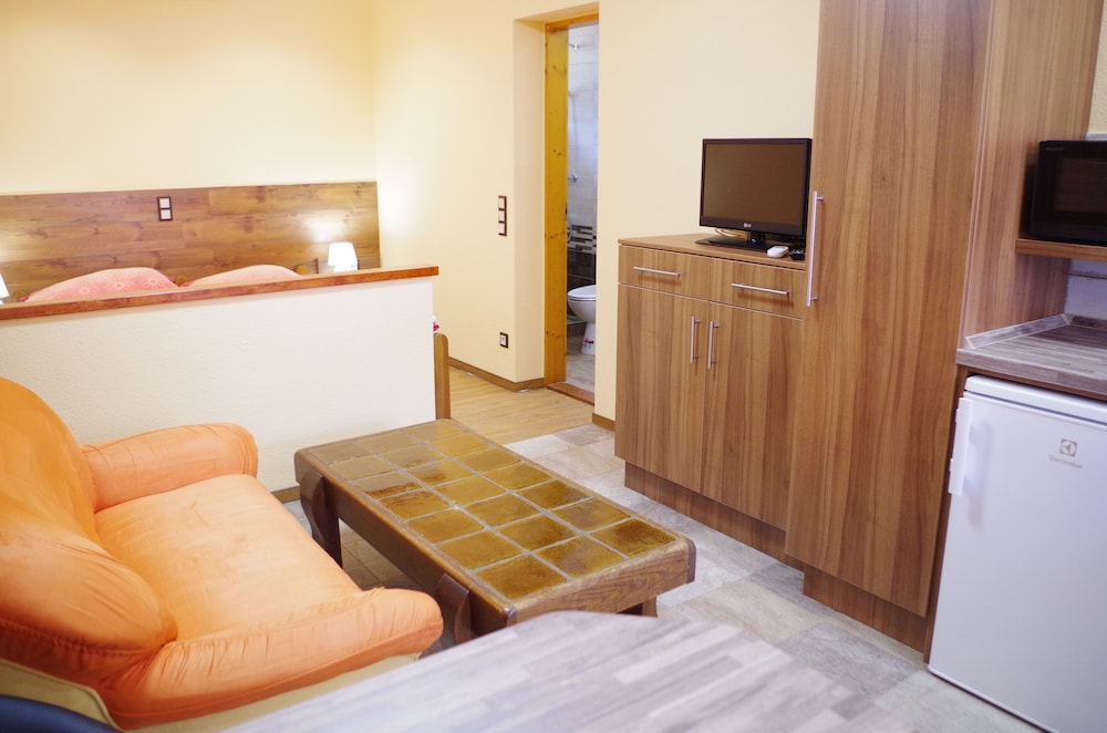 Traditional Studio, 1 Bedroom photo 3