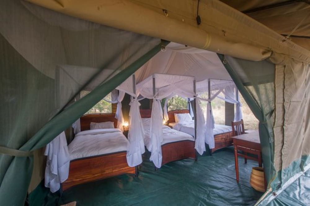 Luxury Tent, 3 Twin Beds photo 3