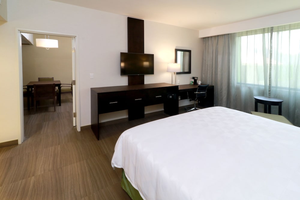 Suite, 1 King Bed (Living) - Photo 1