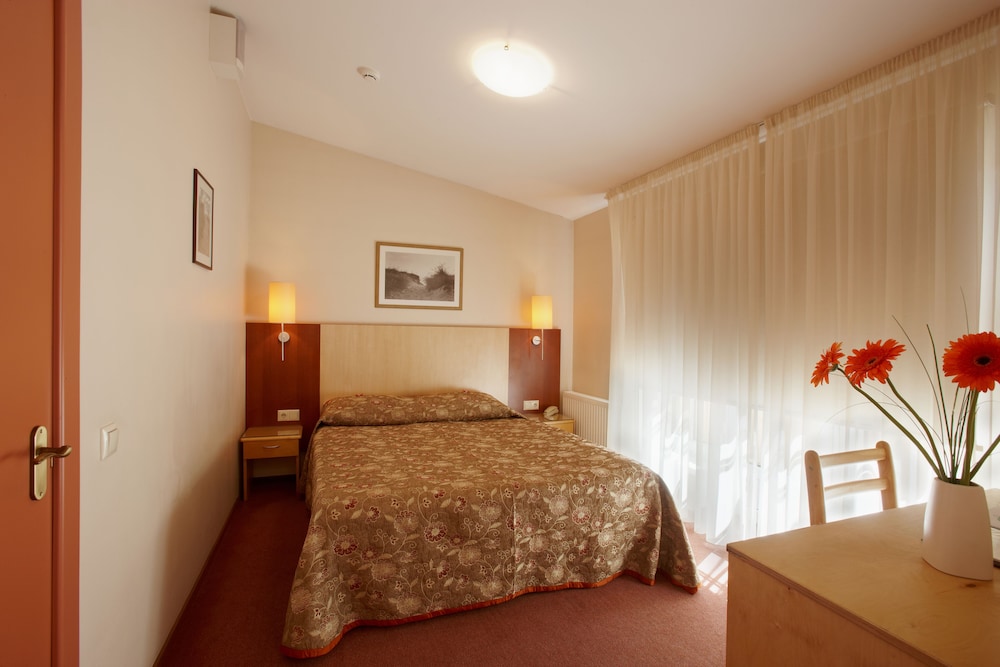 Superior Double or Twin Room photo 2