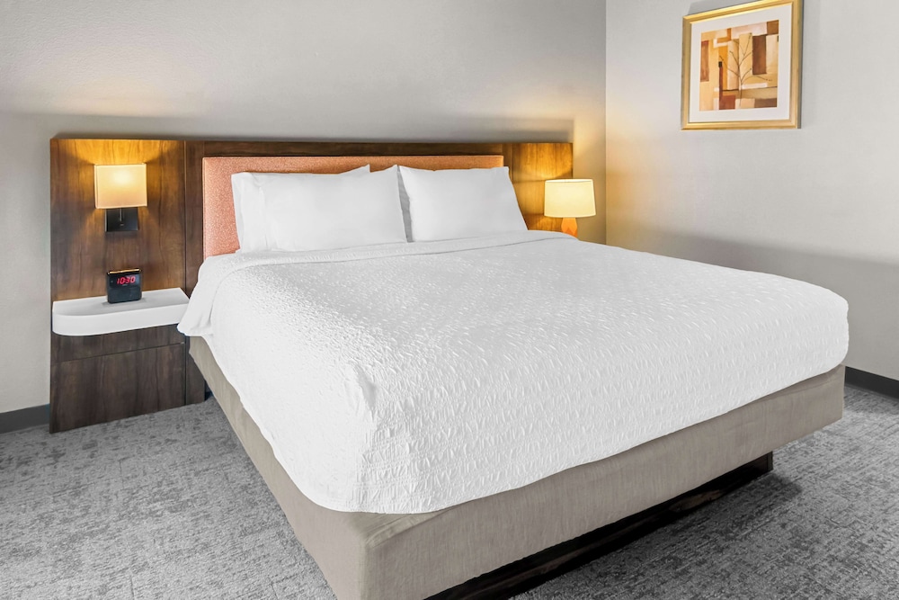 Suite, 1 King Bed, Non Smoking - Photo 1