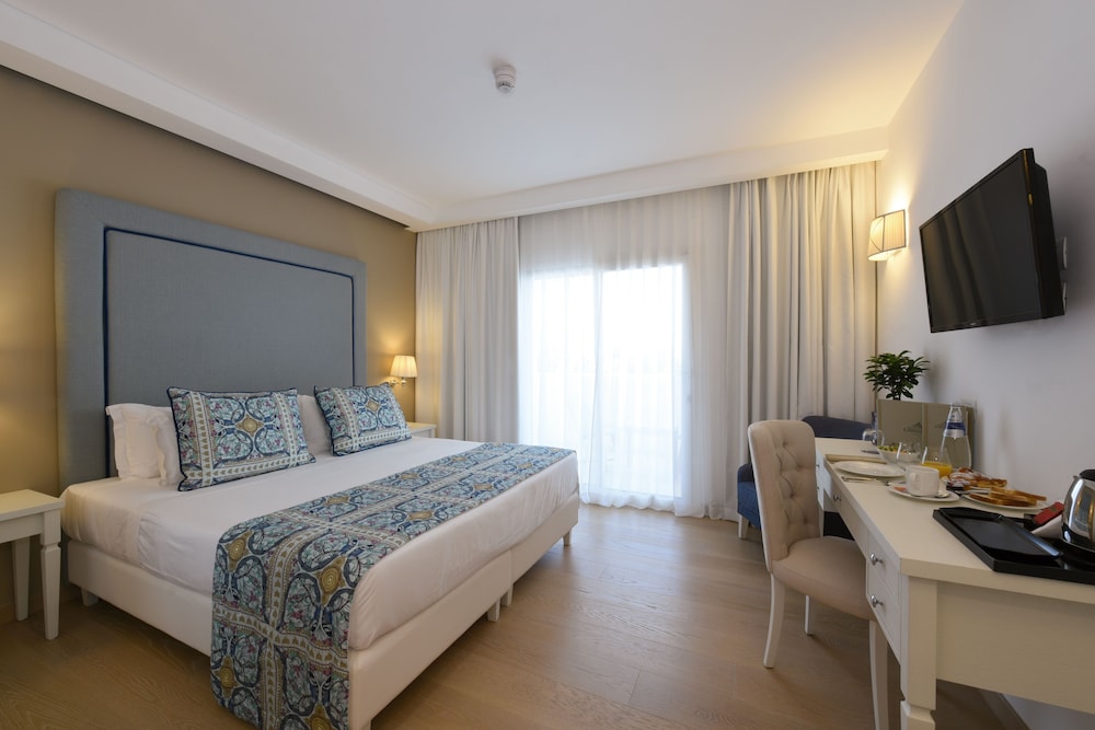 Deluxe Double Room photo 3