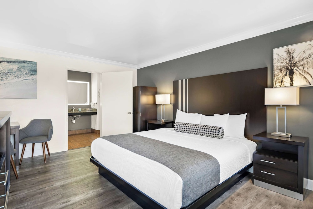 Standard Room, 1 King Bed, Accessible, Non Smoking photo 2