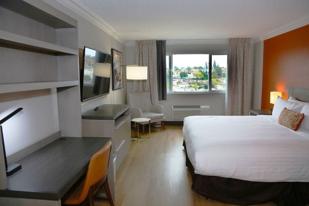 Deluxe Single Room, Non Smoking - Photo 3