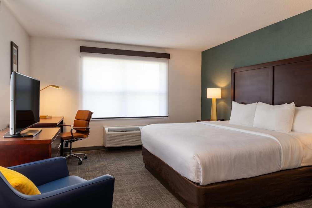 Suite, 1 King Bed, Non Smoking - Photo 8