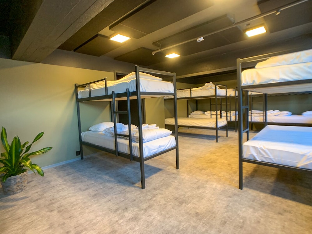 Basic Shared Dormitory photo 1