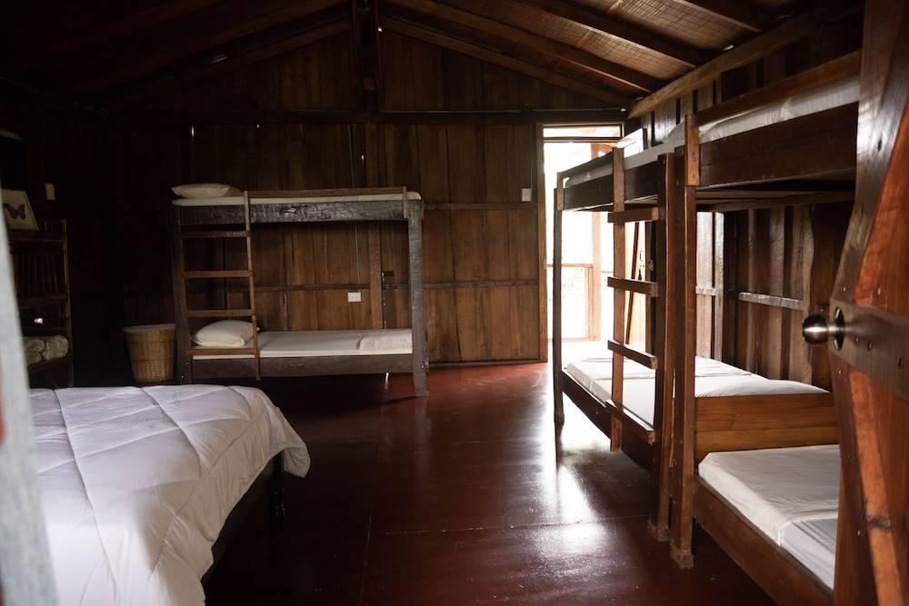 Family Room, Multiple Beds photo 2