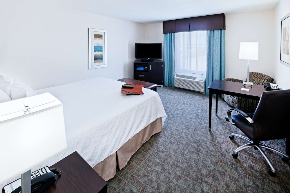 Room, 1 King Bed photo 1