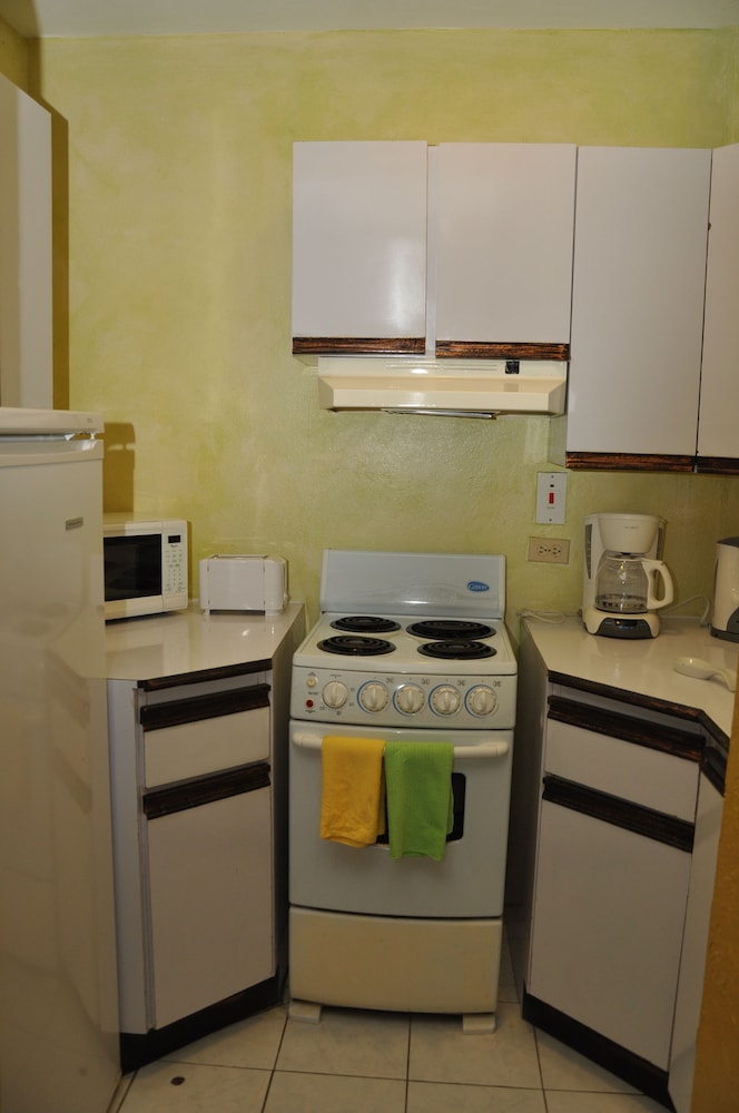 Deluxe Condo, 1 Bedroom photo 3