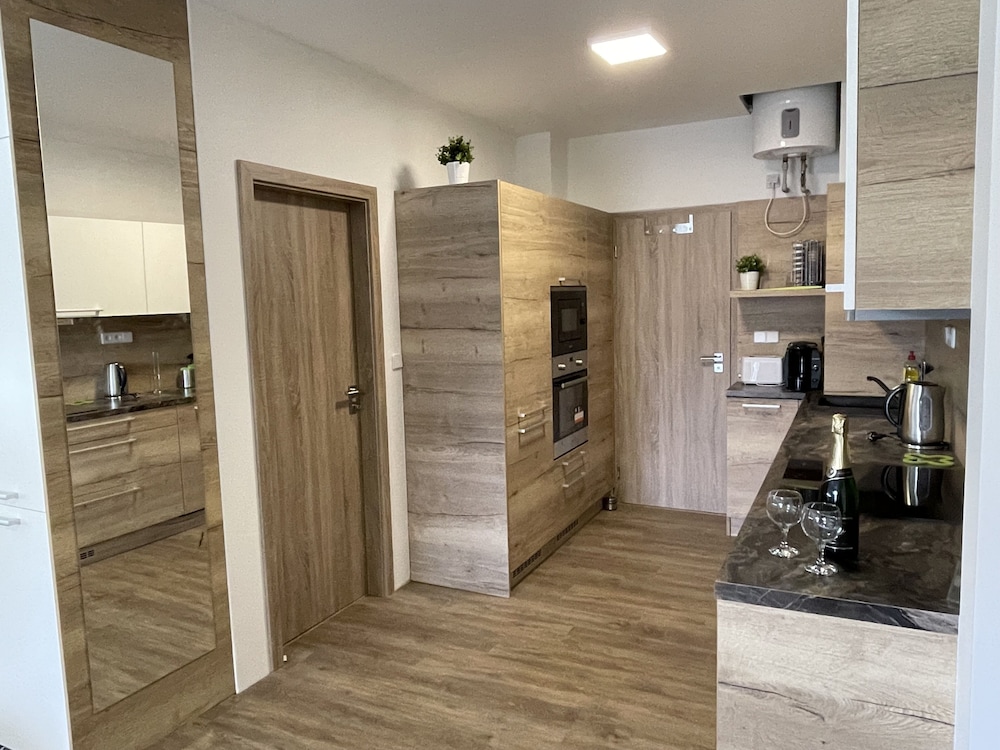 Standard Apartment, 1 Bedroom, Patio (Dubovy, + Infrasauna) photo 3