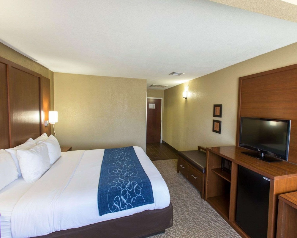 Suite, 1 King Bed with Sofa bed, Accessible, Non Smoking - Photo 6