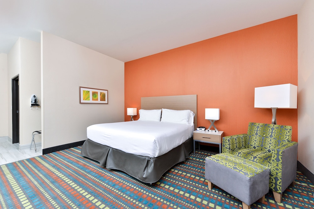 Room, 1 King Bed, Accessible (Communications, Mobil, Roll-In Shower) - Photo 2