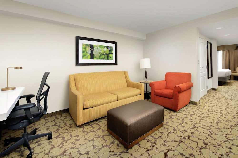 Suite, 1 King Bed with Sofa bed photo 1
