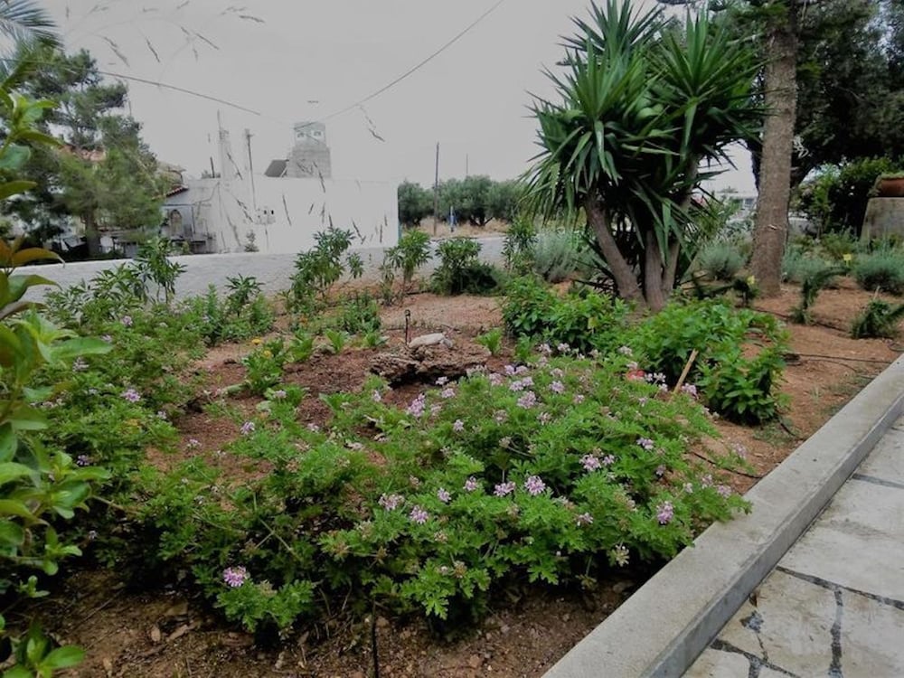 Apartment, 1 Bedroom, Smoking, Terrace