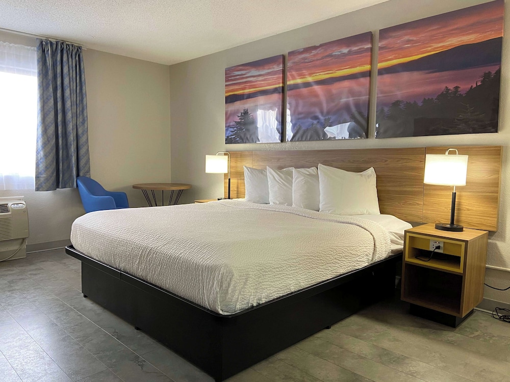 Room, 1 King Bed, Non Smoking - Photo 1