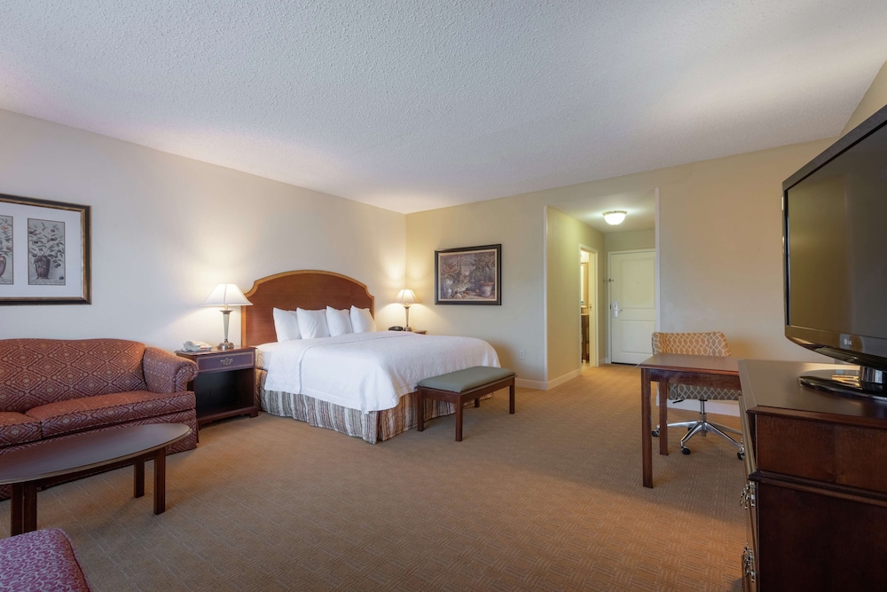 Suite, 1 King Bed, Non Smoking photo 3