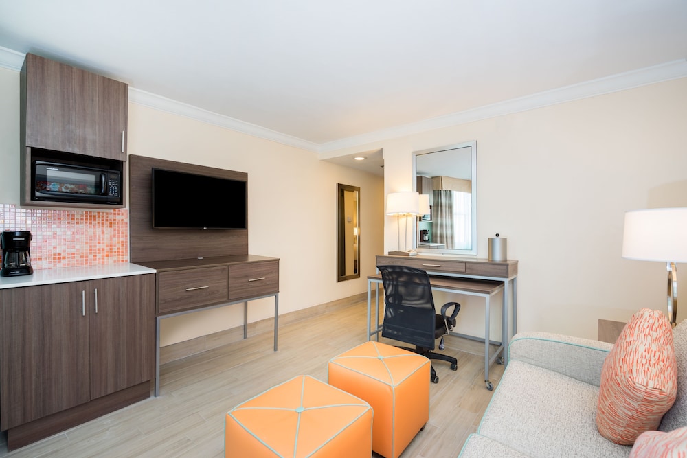 Suite, 1 Queen Bed photo 2