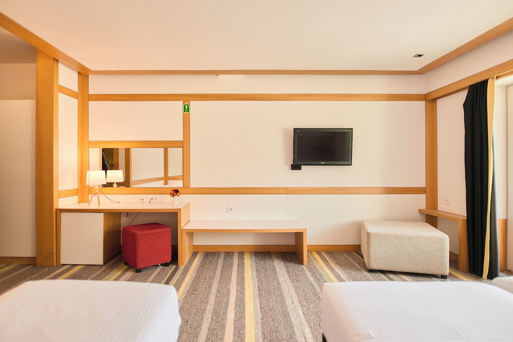Triple Room with Mountain View and Balcony (AC) photo 3