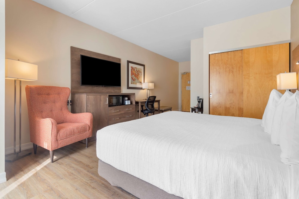Standard Room, 1 King Bed, Refrigerator & Microwave, Park View photo 2