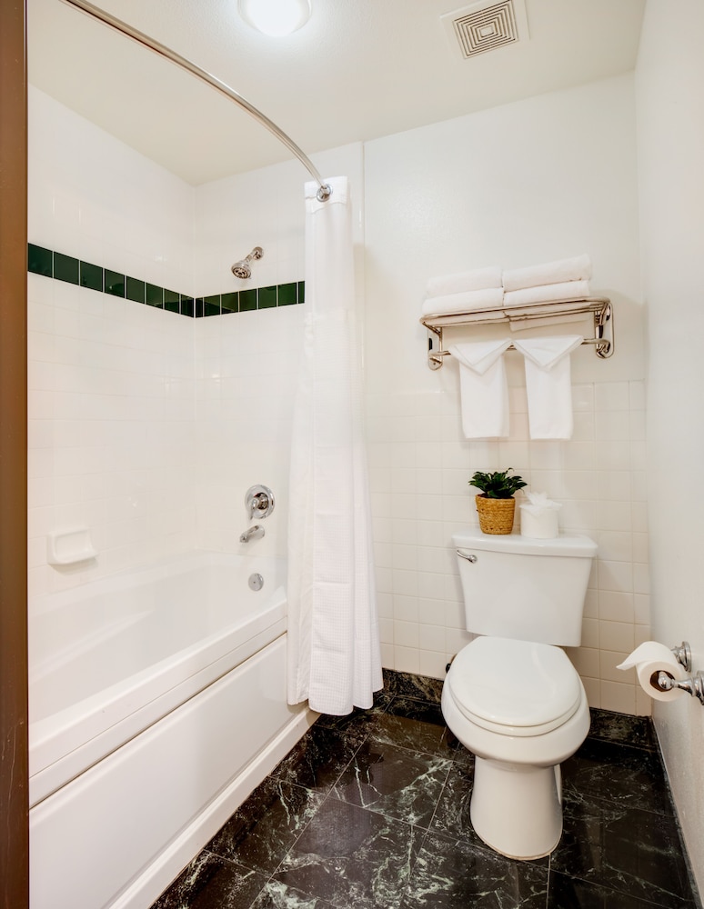 2 Queen Studio Suite - Photo 11